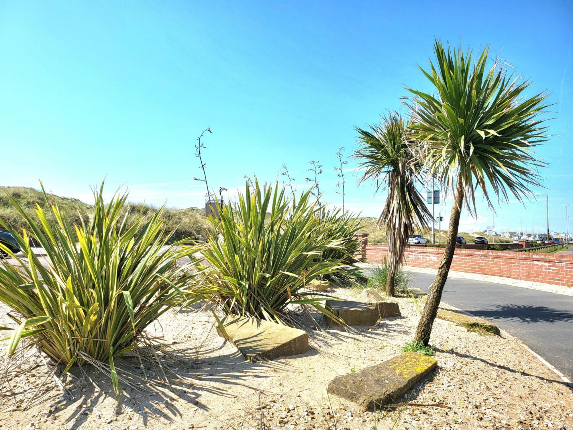 Seaside Beach Themed Home With Garden And Driveway Lytham St Annes Buitenkant foto
